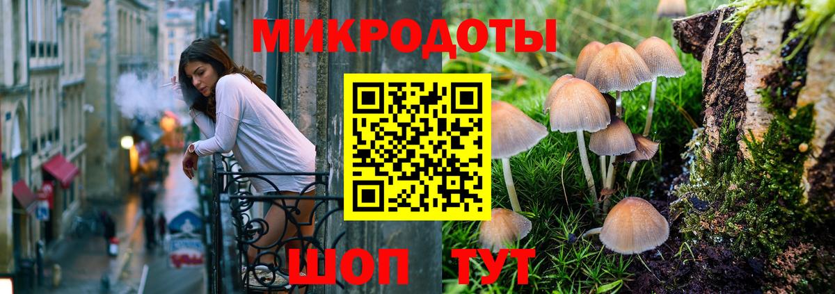 Псилоцибиновые грибы Cubensis  Вход с VPN  Камень-на-Оби  Галлюциногенные грибы Cubensis 